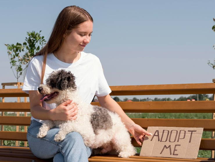 Adopting a Pet - PawrPose